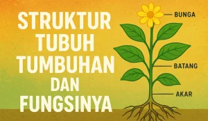 Struktur dan Fungsi Bagian Tubuh Tumbuhan