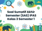Soal Sumatif Akhir Semester (SAS) IPAS Kelas 3 Semester 1